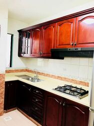 Tanglin Regency (D10), Condominium #591988961